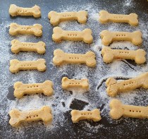 dog biscuits ready to go in the oven