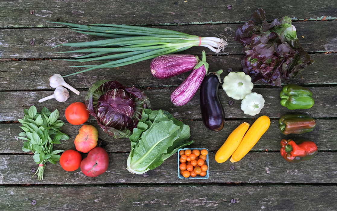 2024 Week by Week CSA Box&nbsp;Contents